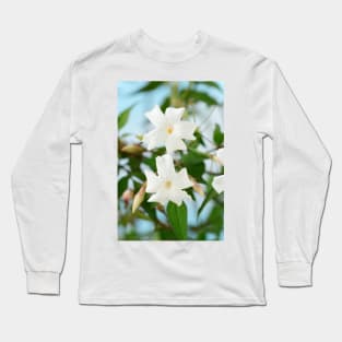 Jasminum officinale  Common jasmine Long Sleeve T-Shirt